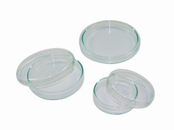 Petrischalen, Kalk / Soda Glas