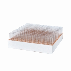 Drosophila Röhrchen, PP