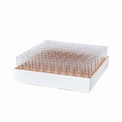 Drosophila tubes, PP