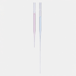 Pasteur pipettes, glass